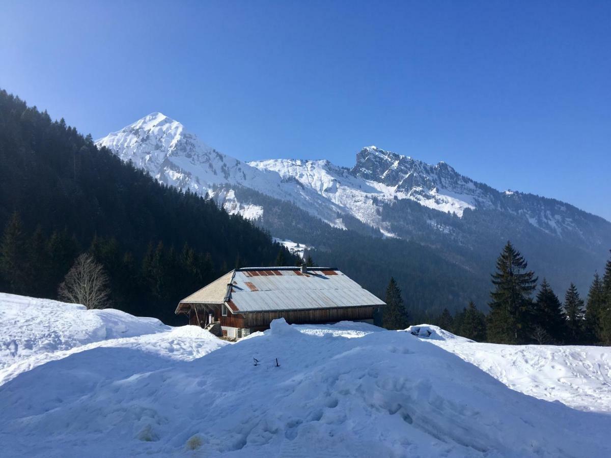 Chalet Marmotte 2 Morzine Exteriér fotografie