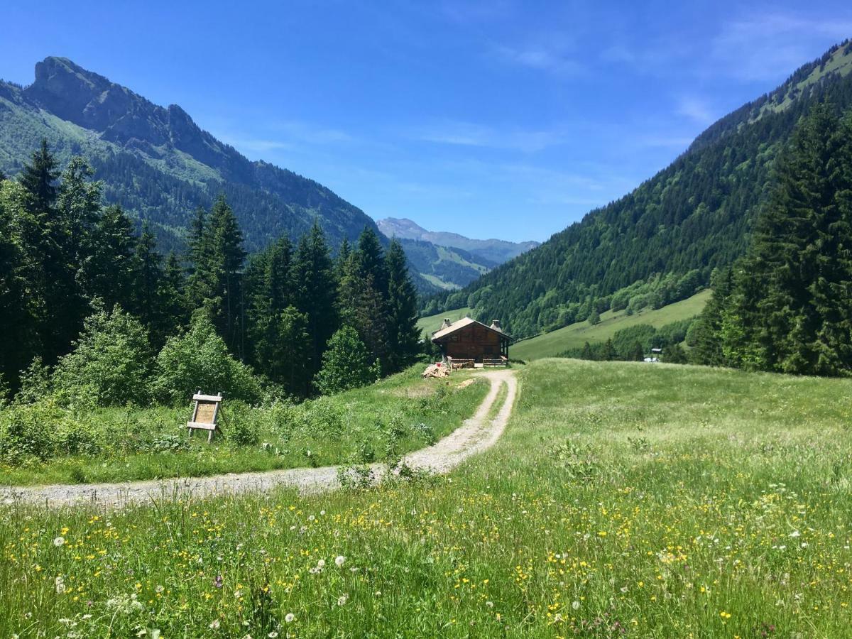 Chalet Marmotte 2 Morzine Exteriér fotografie