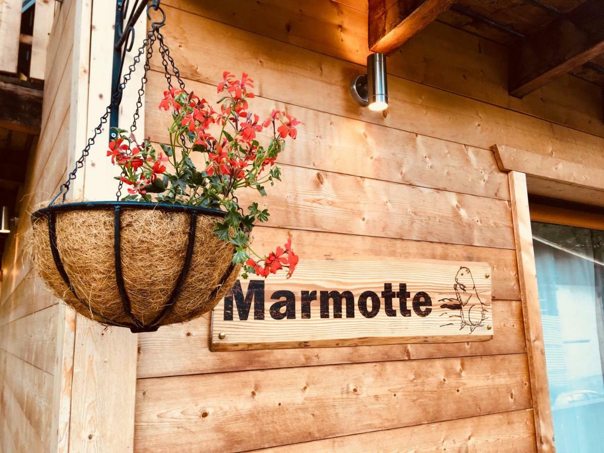 Chalet Marmotte 2 Morzine Exteriér fotografie